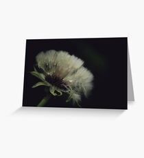 Dandelion Seeds Greeting Card