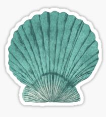 Seashell: Stickers | Redbubble