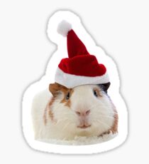 Christmas Guinea Pig in Santa's hat Sticker
