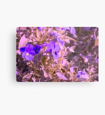 Lila Blumen mit Fliege Metalldruck