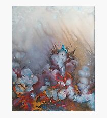 Dreamtime by 'Donna Williams' Photographic Print