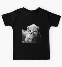 Falkor The Luck Dragon From The Neverending Story Design Kids Tee