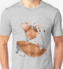 Six Pack Abs Ripped Unisex T-Shirt