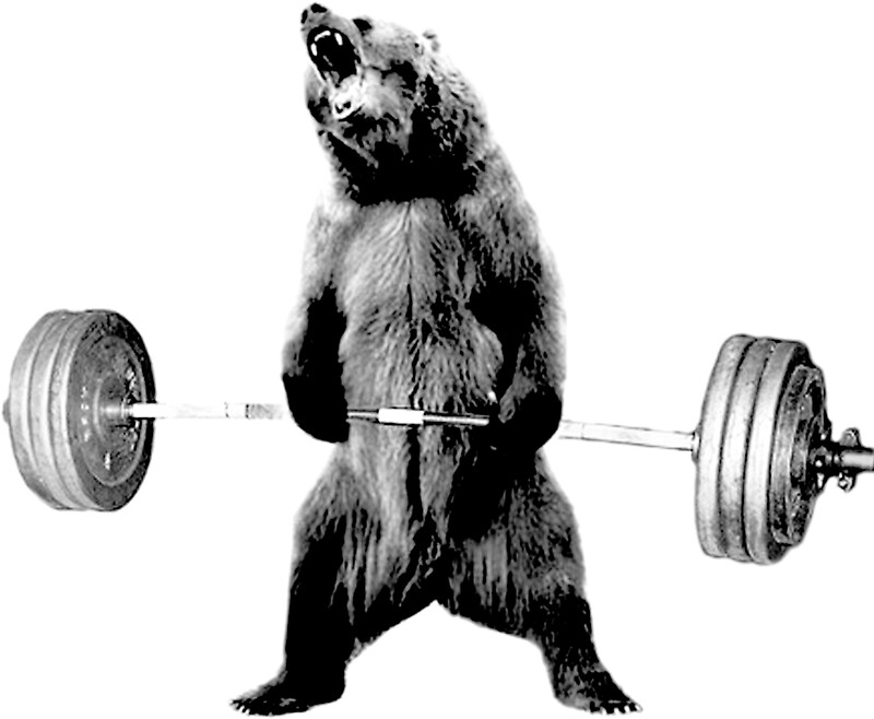 weightlifting teddy bear