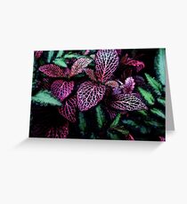 Untitled Greeting Card