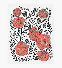 Orange Garden Photographic Print
