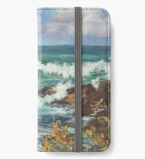 View from Kenny Walk at Nobby Head iPhone Wallet/Case/Skin