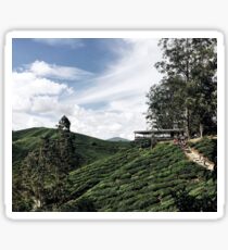 Hills Sticker