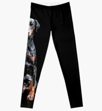 Doberman Leggings