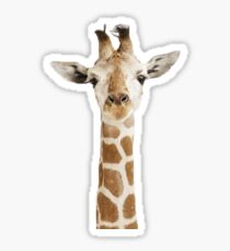 Fabulous giraffe Sticker