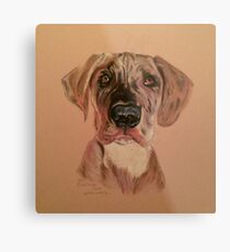 PD Metal Print