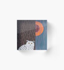 Owl Portrait Acrylic Block