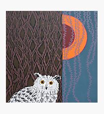 Owl Portrait Photographic Print