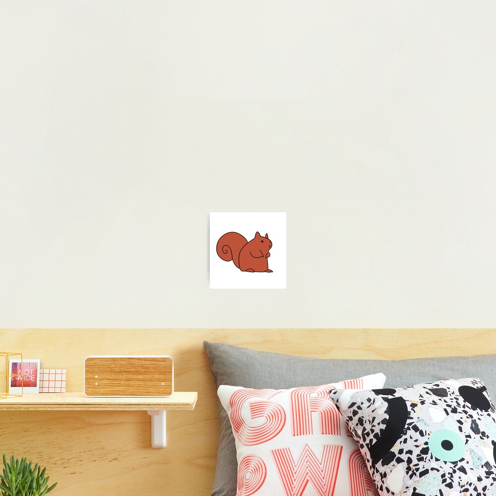 Cute Red Squirrel Photographic Print