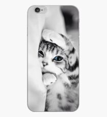 Schläfriges Kätzchen iPhone-Hülle & Cover