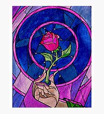 Lámina fotográfica Single Rose