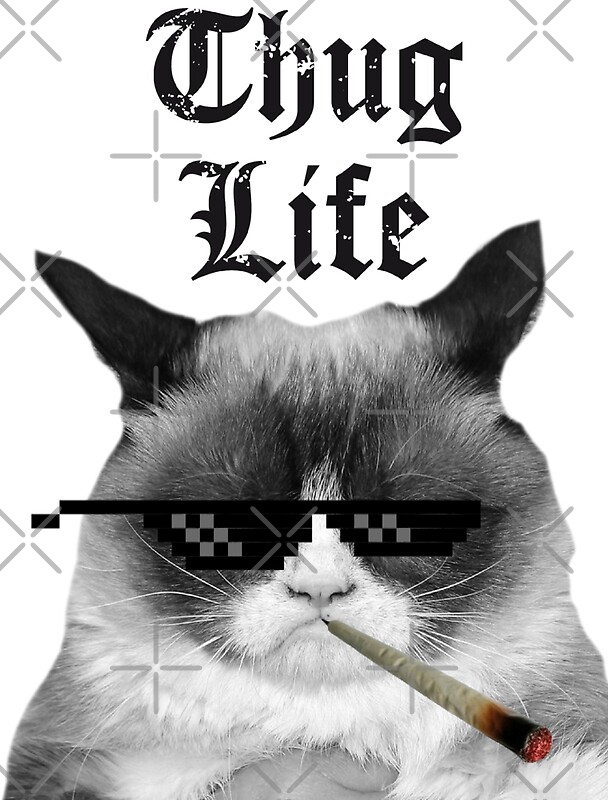 \u0026quot;Thug Life Cat\u0026quot; Stickers by HeadOut  Redbubble