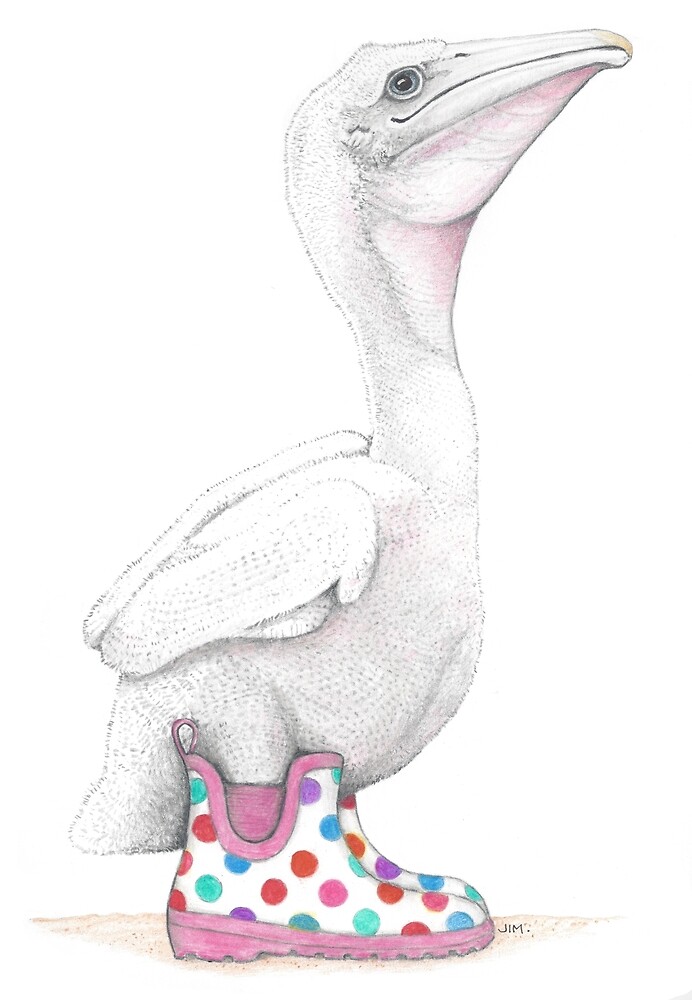 Pelican Chick in Rain Boots by JimsBirds