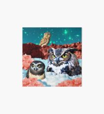 Kindly Owl Gods of the Red Mesa Art Board