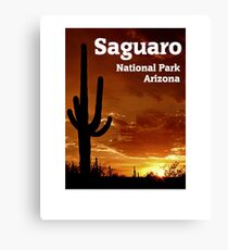 Saguaro National Park, Arizona Canvas Print