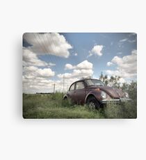 Odessa Beetle Metal Print