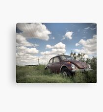Odessa Beetle Canvas Print