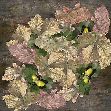 Artwork thumbnail, Acorns in Autumn  by anni103