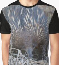 Sunset Anteater Graphic T-Shirt