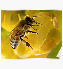 Black On Yellow Poster