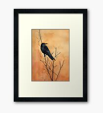Sentinel crow Framed Print