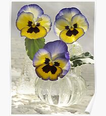 Pansies in Vases Poster