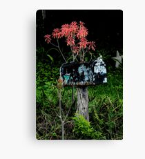 Rural Mail Canvas Print