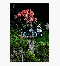 Rural Mail Photographic Print