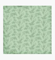 pastel tones Photographic Print