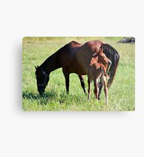 New Baby Metal Print