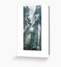 Letting in the Light Greeting Card