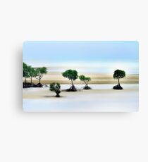 Mangroves Canvas Print