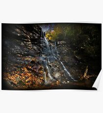 Chameleon Falls Autumn Foliage Poster