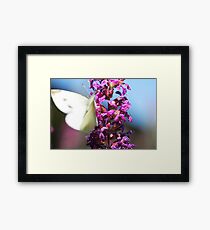 Flutter...Flutter... Framed Print