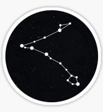 Pisces Sticker