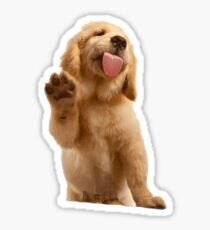 Golden Retriever Sticker