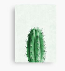 Cactus Plant â„–2 Canvas Print