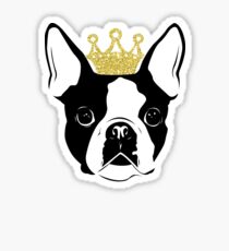 Boston Terrier with Crown Sticker