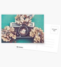 Camera & Hydrangea Postcards