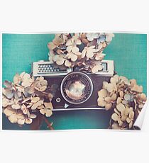 Camera & Hydrangea Poster