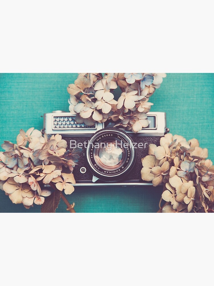 Camera & Hydrangea by riotjane