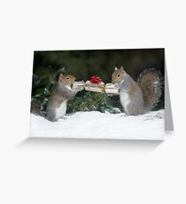Christmas Cracker Squirrel fun! Greeting Card
