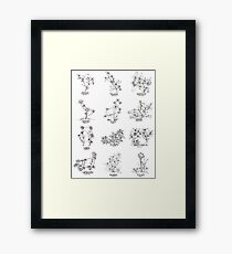 Blumenkonstellation - Ensemble Gerahmtes Wandbild