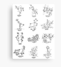 Floral Constellation - Ensemble Metal Print
