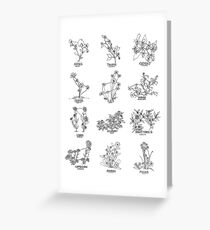 Floral Constellation - Ensemble Greeting Card